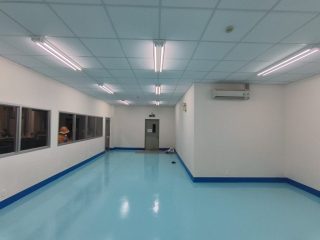 tazmo-22-1024x768